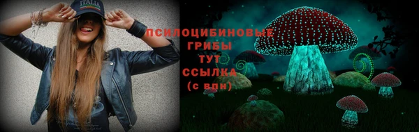 гашик Гусиноозёрск