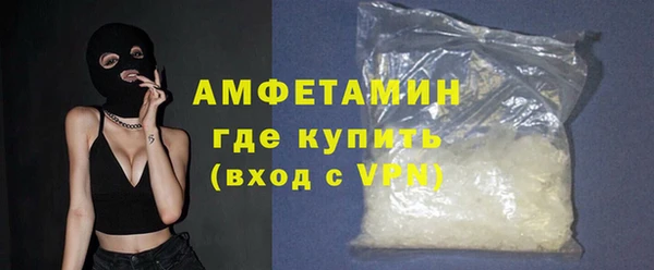 прущие грибы Горнозаводск
