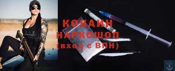 ГАЛЛЮЦИНОГЕННЫЕ ГРИБЫ Горняк