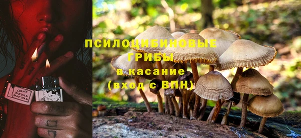PSILOCYBIN Горно-Алтайск