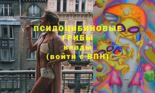 марки lsd Гусь-Хрустальный