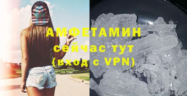 прущие грибы Горнозаводск