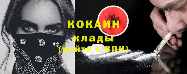 прущие грибы Горнозаводск